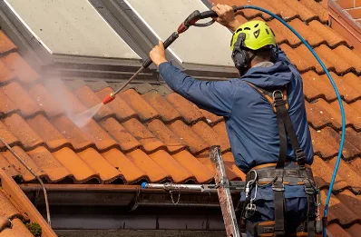 Démoussage et hydrofuge de toiture à Grisolles